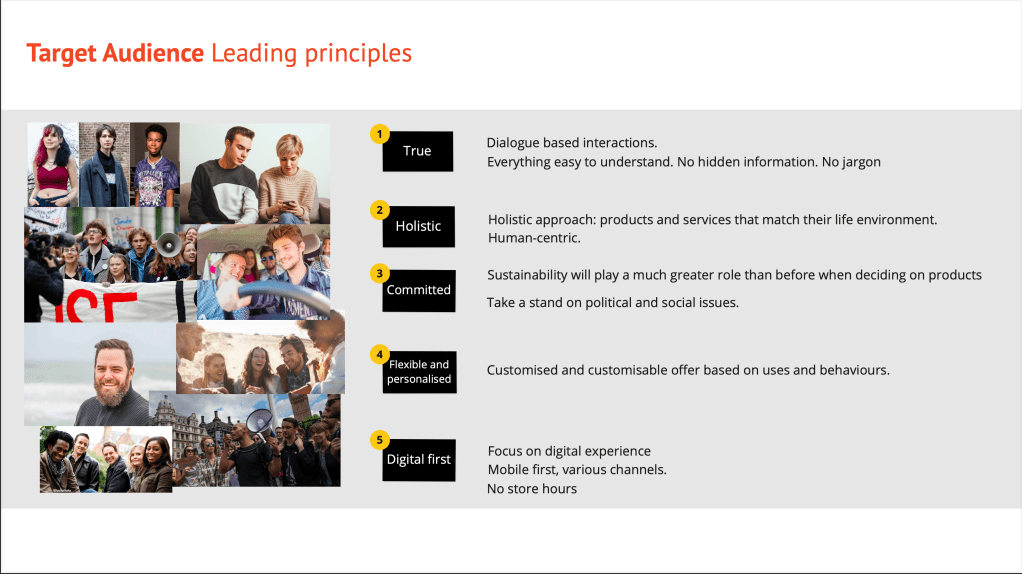 B2C Insurance App User groups leading principles